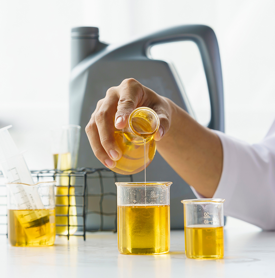 迎接来到公海,迎接来到赌船